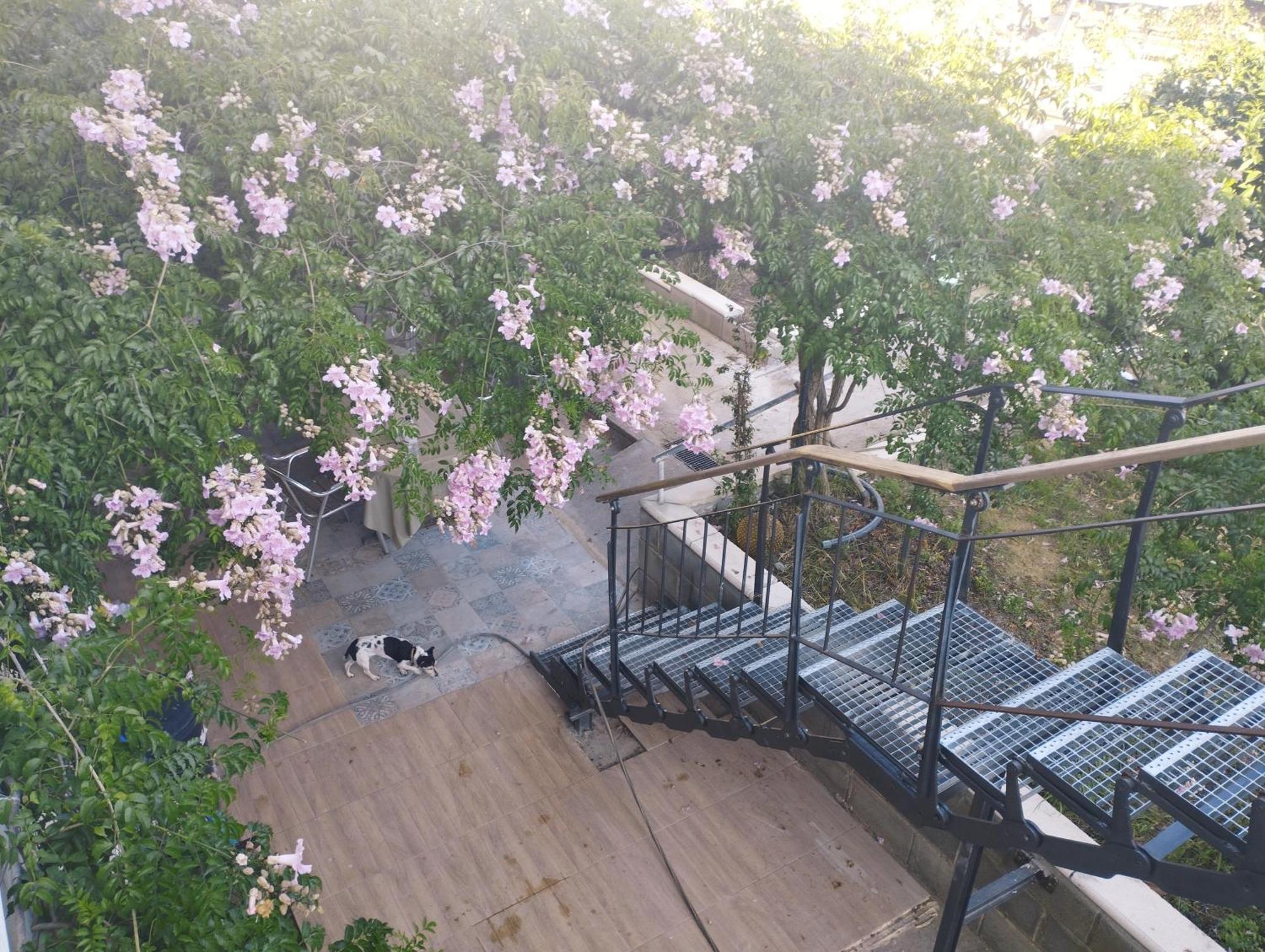 La Fabriqueta Apartament Riudecanyes Εξωτερικό φωτογραφία