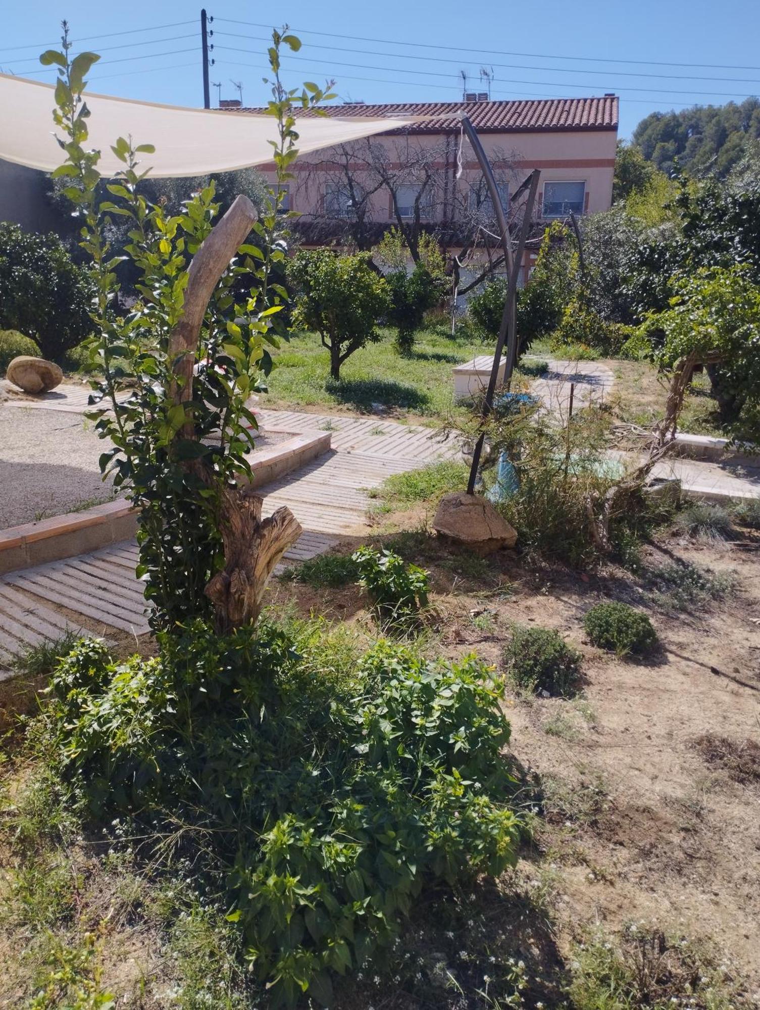 La Fabriqueta Apartament Riudecanyes Εξωτερικό φωτογραφία